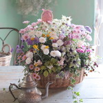 モモイロタンポポの母の日花束植え