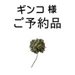 【　ギンコ  様　ご予約品】▼ホワイト綿麻のサルエルパンツ▼再×4♪