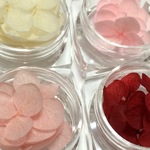 【再販】紫陽花のドライフラワーセットD