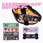 きよら本舗様ご予約ページ