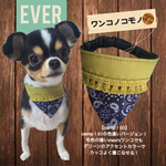 1100円→950円♡ SSサイズ登場！ バンダナ首輪  犬 小型犬 