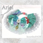 〖Princess Collection〗Ariel  マーメイド🪸🧜🏻‍♀️𓈒𓂂𓏸人魚姫   エメラルド×シルバー  プリンセス《ケープ首輪》
