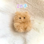 ちいちゃいまんまるぬいぐるみ もじゃもじゃはなぺちゃこねこちゃん(この子)