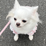 ☆k…様専用ページ☆
