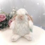 着せ替えうさぎぬいぐるみ『ベビうさぴょんロップ（バイカラー）』