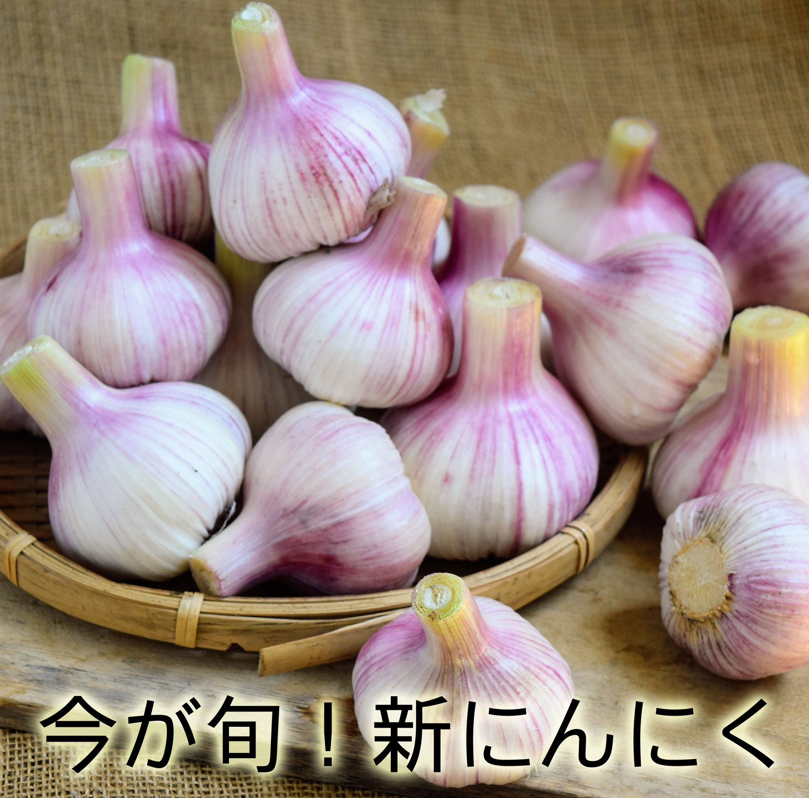 今が旬！フレッシュ新にんにく（無農薬・化学肥料不使用