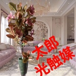 光触媒　人工観葉植物　フェイクグリーン　マグノリアツリーエミリオ風