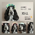 新作犬の帽子キャップ　5色　　小型犬4.5kg〜中型犬サイズ