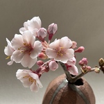 クレイフラワー　桜枝