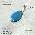 ⚡️激レア⚡️ペルシアンターコイズ✨Silver925Top✨ジュエリー天然石ネックレス💫一点物❗️