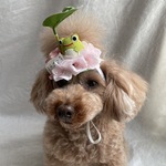 カエルさんの雨宿り🐸カチューシャ(ワイヤー入りタイプ)
