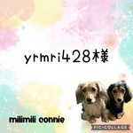 ꕤ︎︎yrmri様ꕤ︎︎