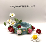 マルゲリータ様オーダー品＊シュナウザーさん＊イガいちご首輪