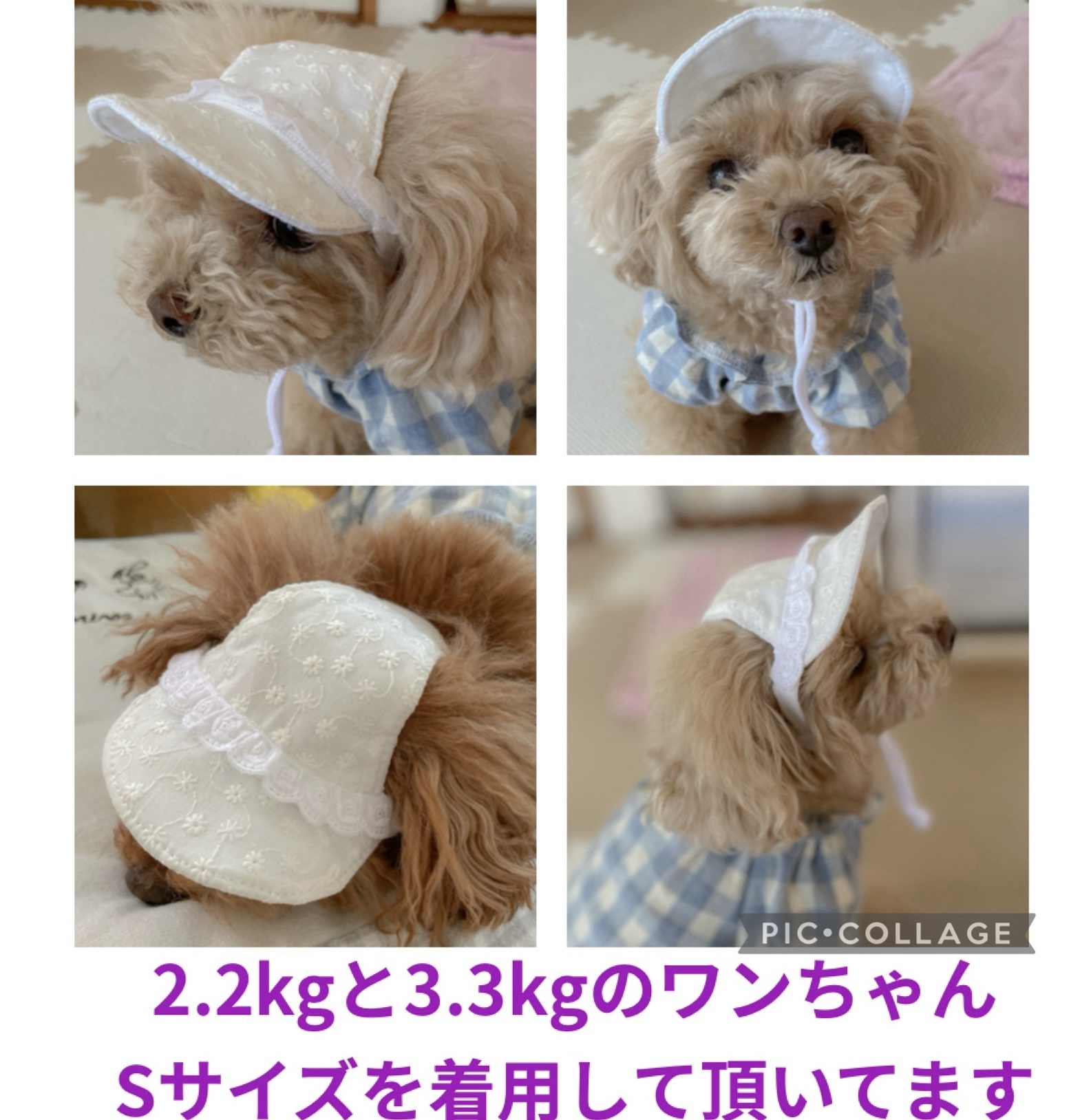 犬の帽子 小型犬用 レース生地 （S〜L） - Salon de cocoro