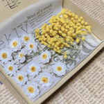 ドライフラワー 花材 花かんざし&ミモザ