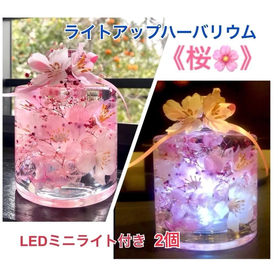 桜 - ハーバリウムの人気通販 | minne byGMOペパボ 国内最大級の
