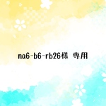 na6-b6-rb26様 専用