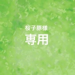☆桜子豚様専用☆