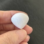 🐚ホワイトスコレサイト