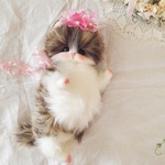 ナチュラルカラーのふわふわ子猫ちゃん♡テディベア