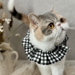 フリルチェック｜猫ちゃん用スタイ