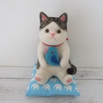 青い鳥だっこ猫
