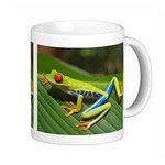 アカメアマガエルのマグカップ：フォトマグ（世界のカエルシリーズ）