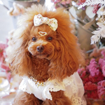 【アンティークフラワー】犬リボン　犬用リボン　犬バレッタ