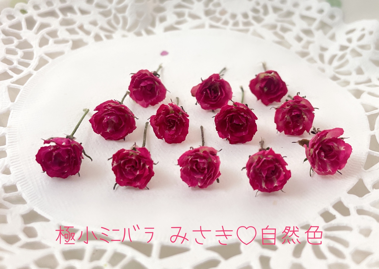 ドライフラワー 花材 素材 リトルウッズ 蕾染め ヘッド ケース入り