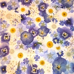 ♡new♡作家様必見♡押し花MIXセット♡押し花セット