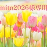 mito2026様専用