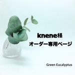 knene様オーダー専用ページ