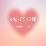 sdg-0512様専用ページ デコ硬質ケース