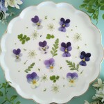 押し花素材476　ミニビオラと小花のセット　パープル　ネイビー　ホワイト　グリーン