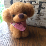 レッド.トイプードル✨mini🎀パピーちゃん