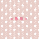 専用出品