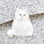 ネコ　白ネコ　ペルシャネコ　レジン　ブローチ　チャーム　ハンドメイド