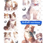 【C2】装飾ステッカー 5柄ミックスセット（各1枚） dog