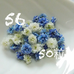 56かすみ草♡ドライフラワー