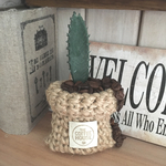 コーヒー麻袋風サボちゃん