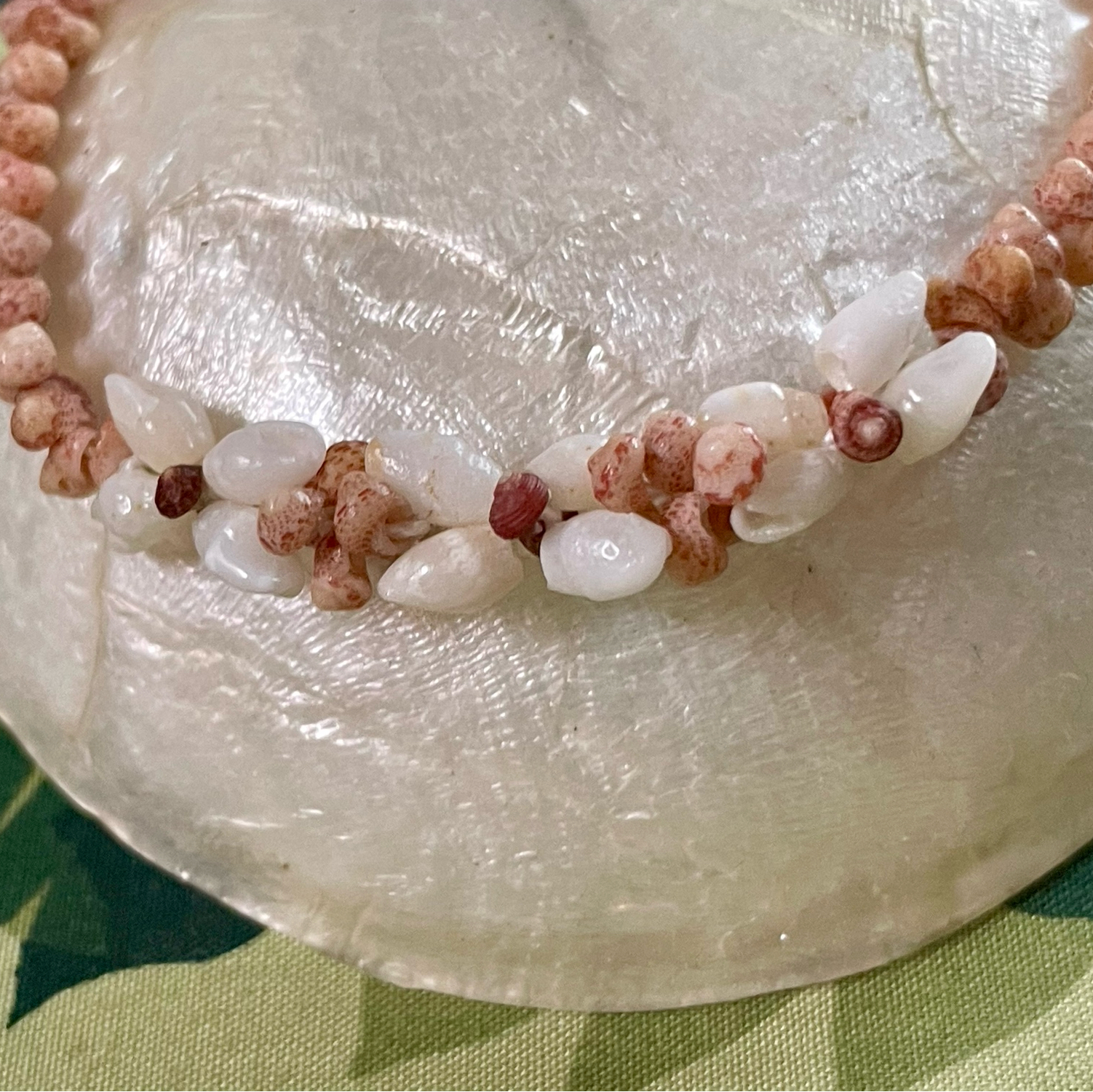 Hawaiian kahelelani Laiki shells flower - hanahou