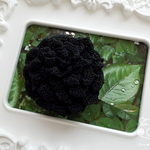 【ブラックver.】薔薇のがま口