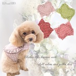 ♡新作♡ 洋服みたいな ハーネス 1～7号 くすみカラー 胴輪 パピー 超小型犬 極小犬 小型犬 中型犬 犬 猫 ペット 服 可愛い ハート シンプル カジュアル P771 P772