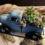 レトロカー 多肉植物 寄せ植え