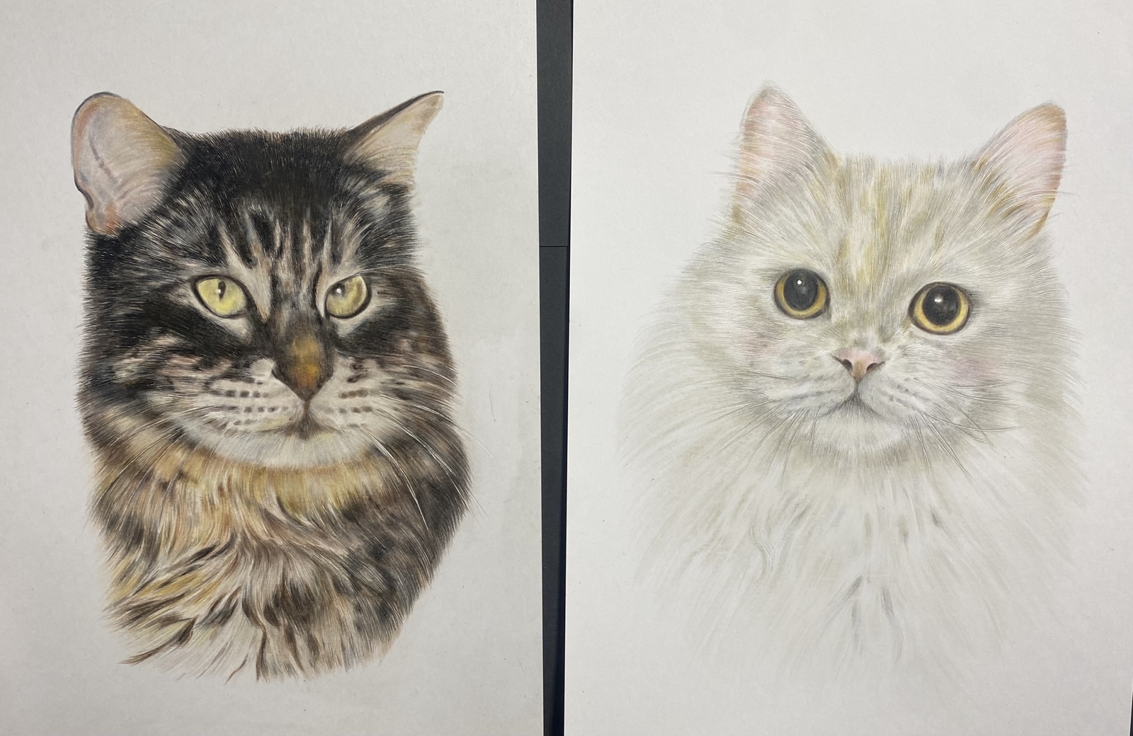 ペットの似顔絵オーダー シーズー - TSURUYAM'S GALLERY | minne byGMO