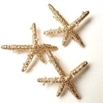 Starfish barrette
