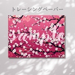 トレーシングペーパー【桜】