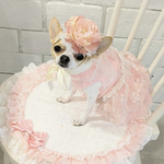 犬 ピオニー くすみピンク 花冠 ♡ 花 フリル リボン ヘッドドレス 帽子 猫 ペット カチューシャ かぶりもの 誕生日 被り物 うちの子記念日 バースデー  ピンク