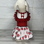 夏犬服メッシュ🍓いちご柄ワンピース