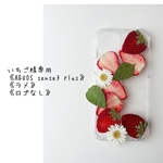 専用ページいちご様《AQUOS sense3 plus》《ラメ》《ロゴなし》